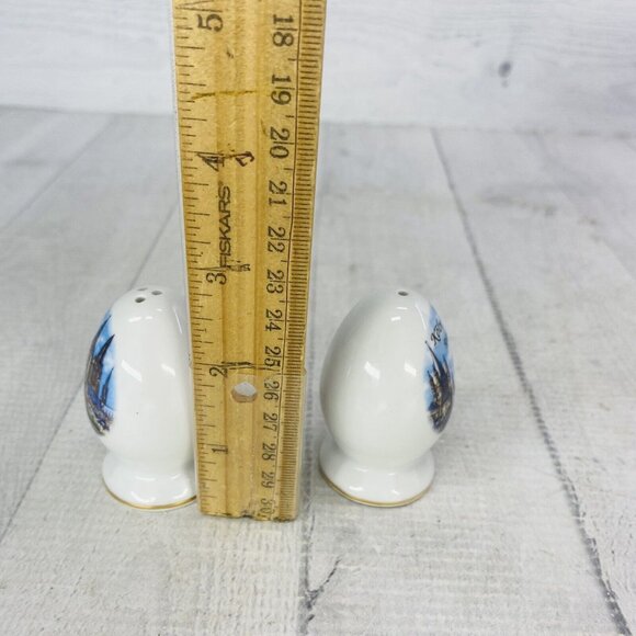 Reutter Porzellan KOLN DOM CATHEDRAL Germany Salt Pepper Shaker Set With Box - Picture 13 of 16